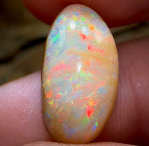 11.8cts - Australian Boulder Crystal Opal Split Pair of Yowah Nut Kernels Old Stock - Opal Whisperers