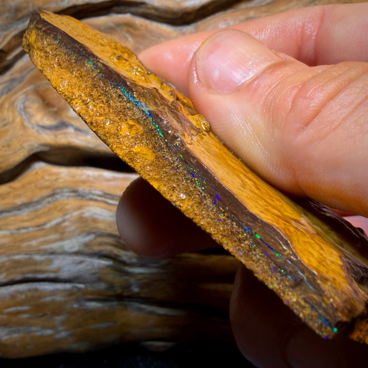 471cts - Yowah Opal Rough Piece. Biscuit Band