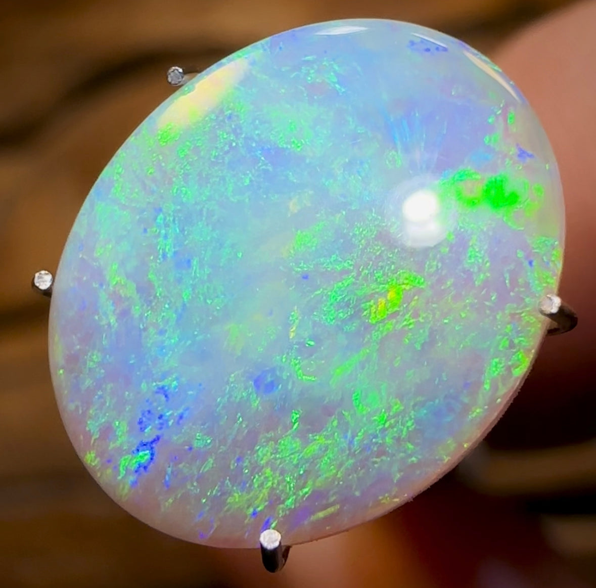 3.15cts - Lightning Ridge Crystal Opal - Opal Whisperers