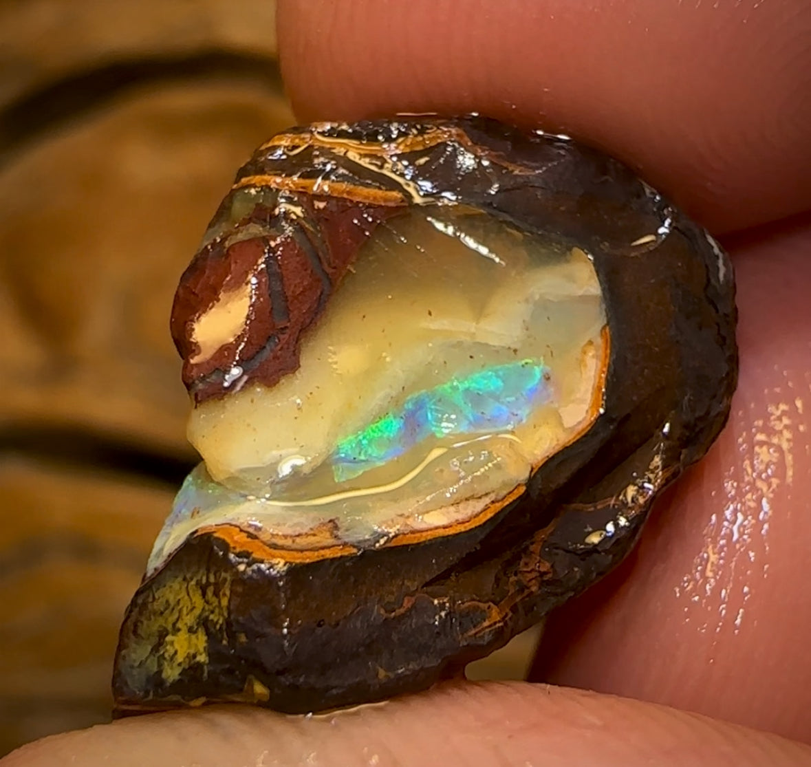 40.8cts - Yowah Nut Crystal Centre Rough Specimen