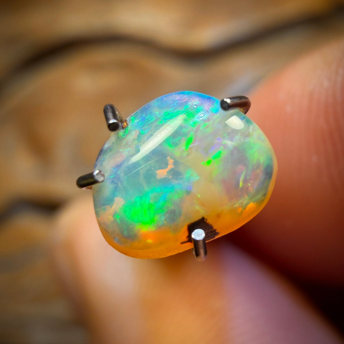 0.65cts - Yowah Nut Golden Crystal Opal