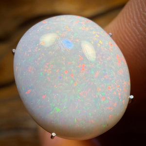 🔨 AUCTION 🔨 No Reserve 9.6cts - South Australian White Opal