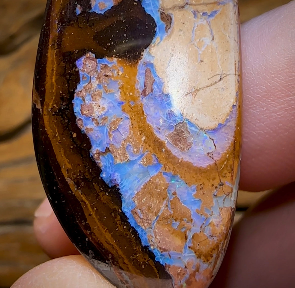 88.3cts - Large Queensland Boulder Opal from Yowah