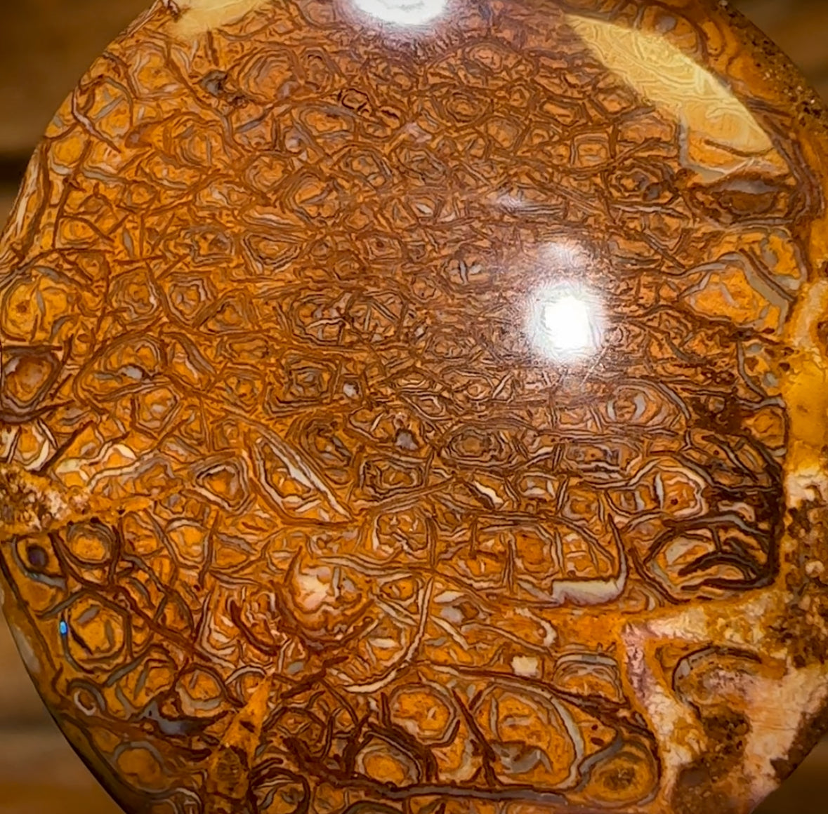 35.3cts - Tribal Australian Boulder Opal from Yowah