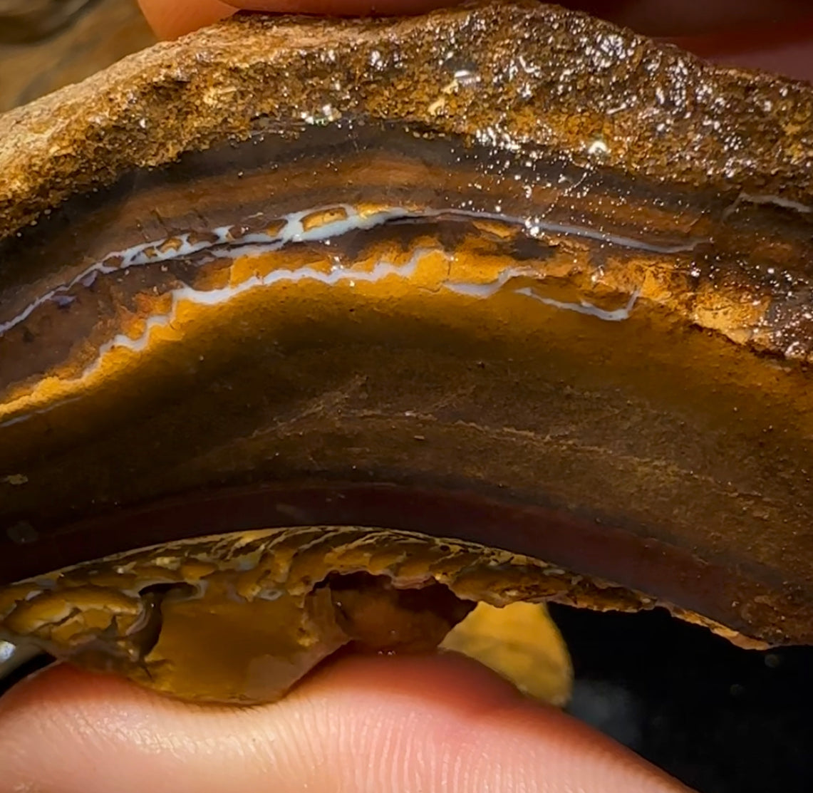 524g - Queensland Boulder Opal Rough - Opal Whisperers