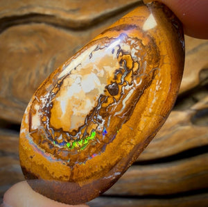 Aren’t you glad you waited till the end Card! 40.2cts - Tribal Australian Boulder Nut Opal from Yowah