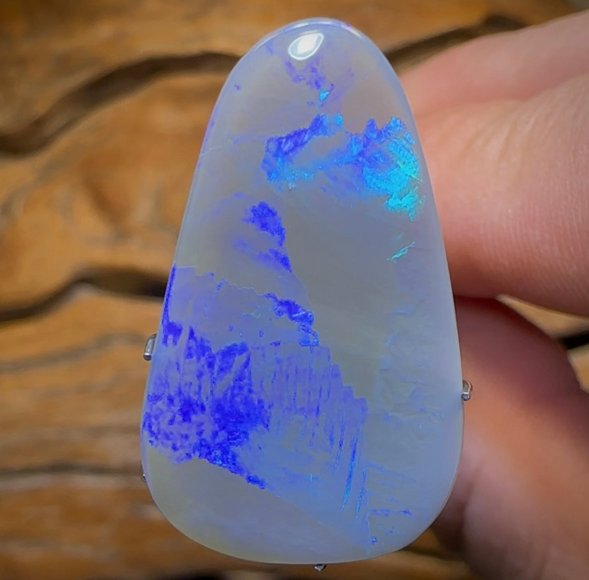 7.4cts - Lightning Ridge Dark Opal - Opal Whisperers