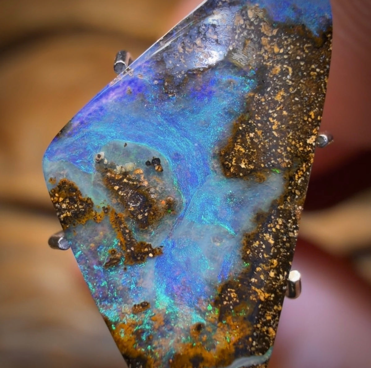 3.6cts - Queensland Boulder Seam Opal