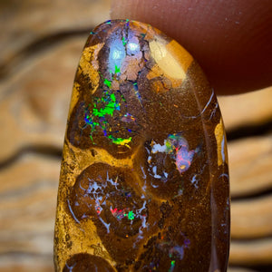 23.7cts - Fire Bubble Band Queensland Boulder Opal from Yowah. Red Multicolour