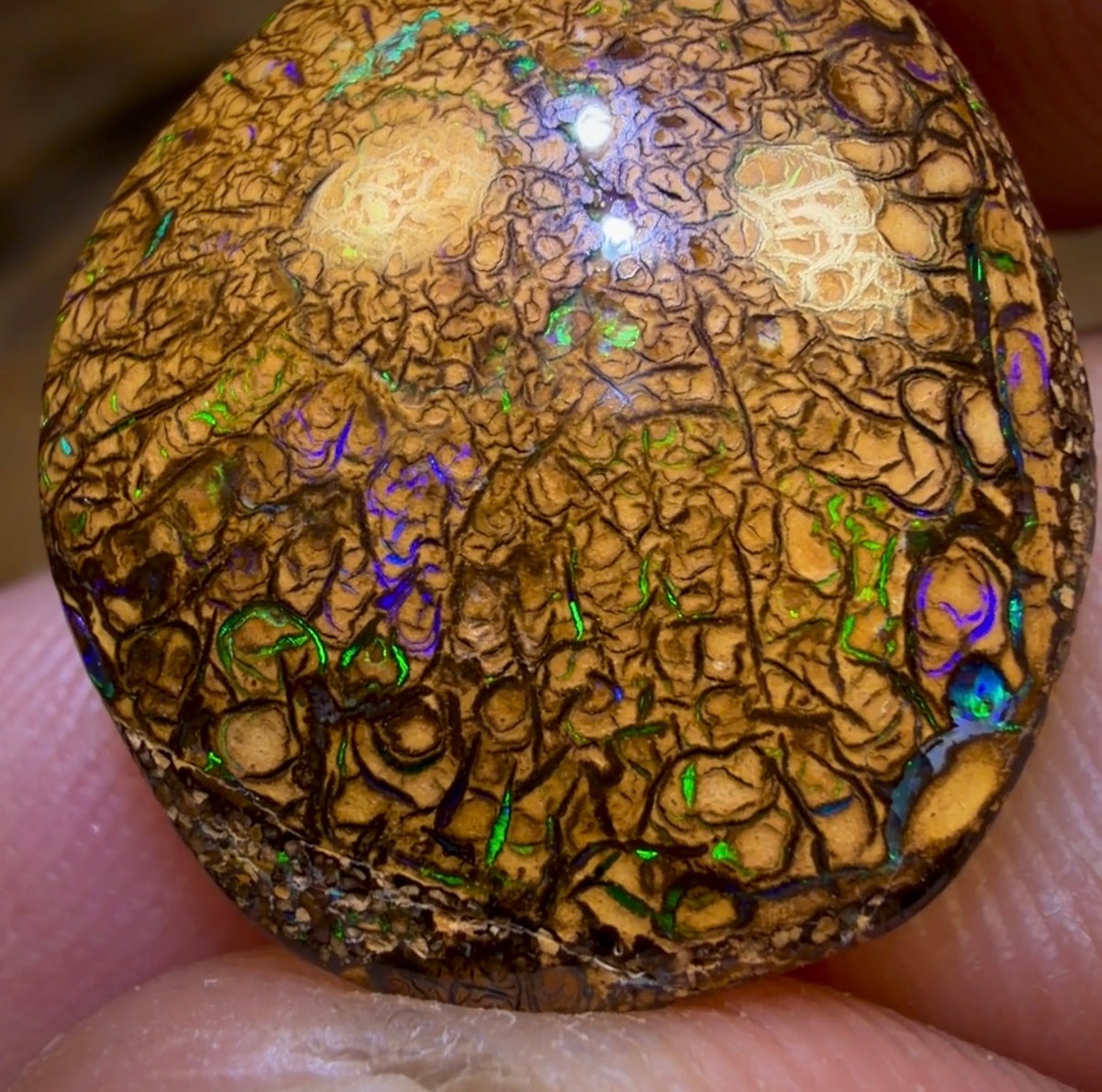 17.1cts - Tan Tribal Yowah Nut Opal. Australian Opal
