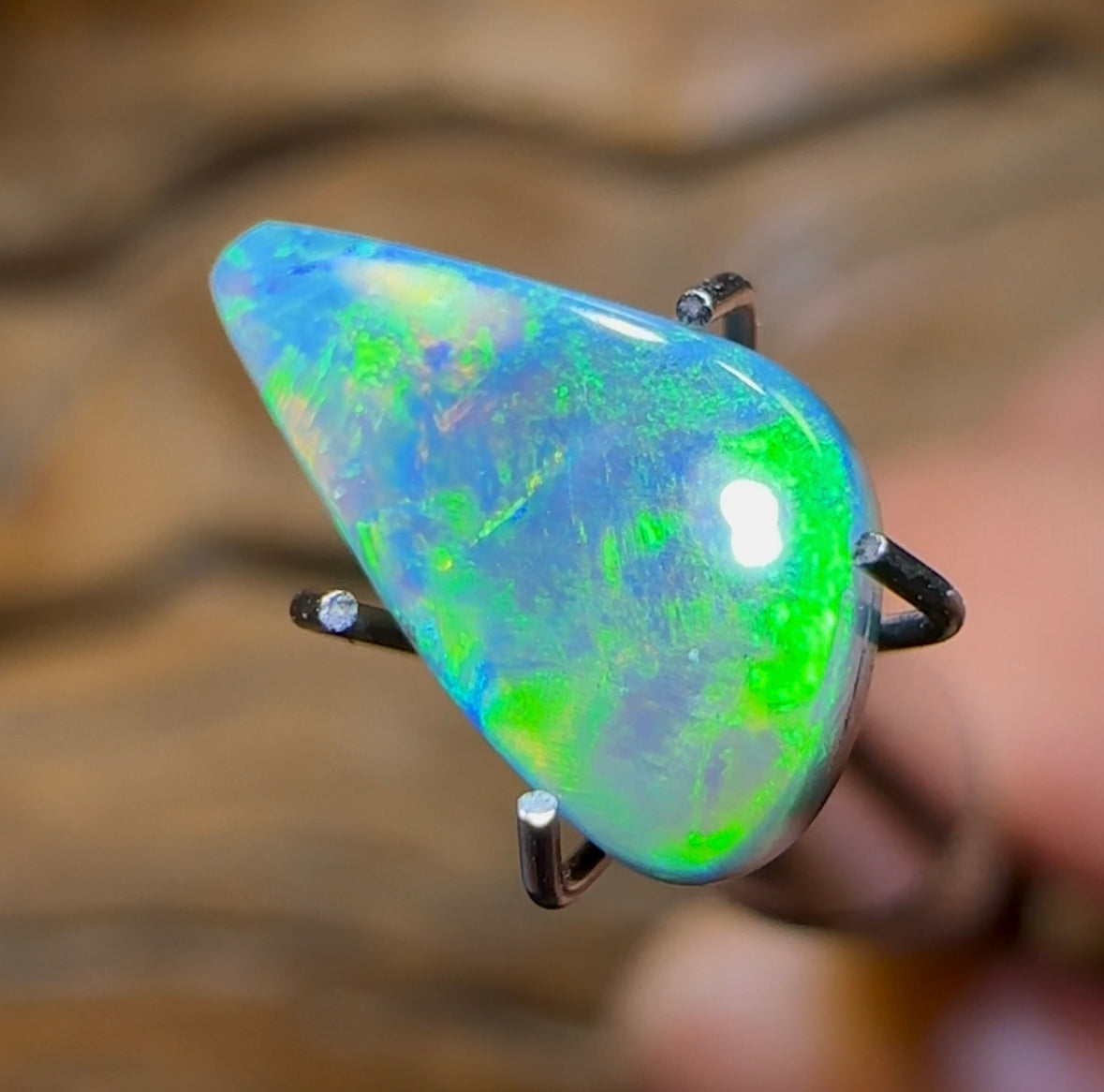 1.3cts - Lightning Ridge Semi Black Opal - Opal Whisperers