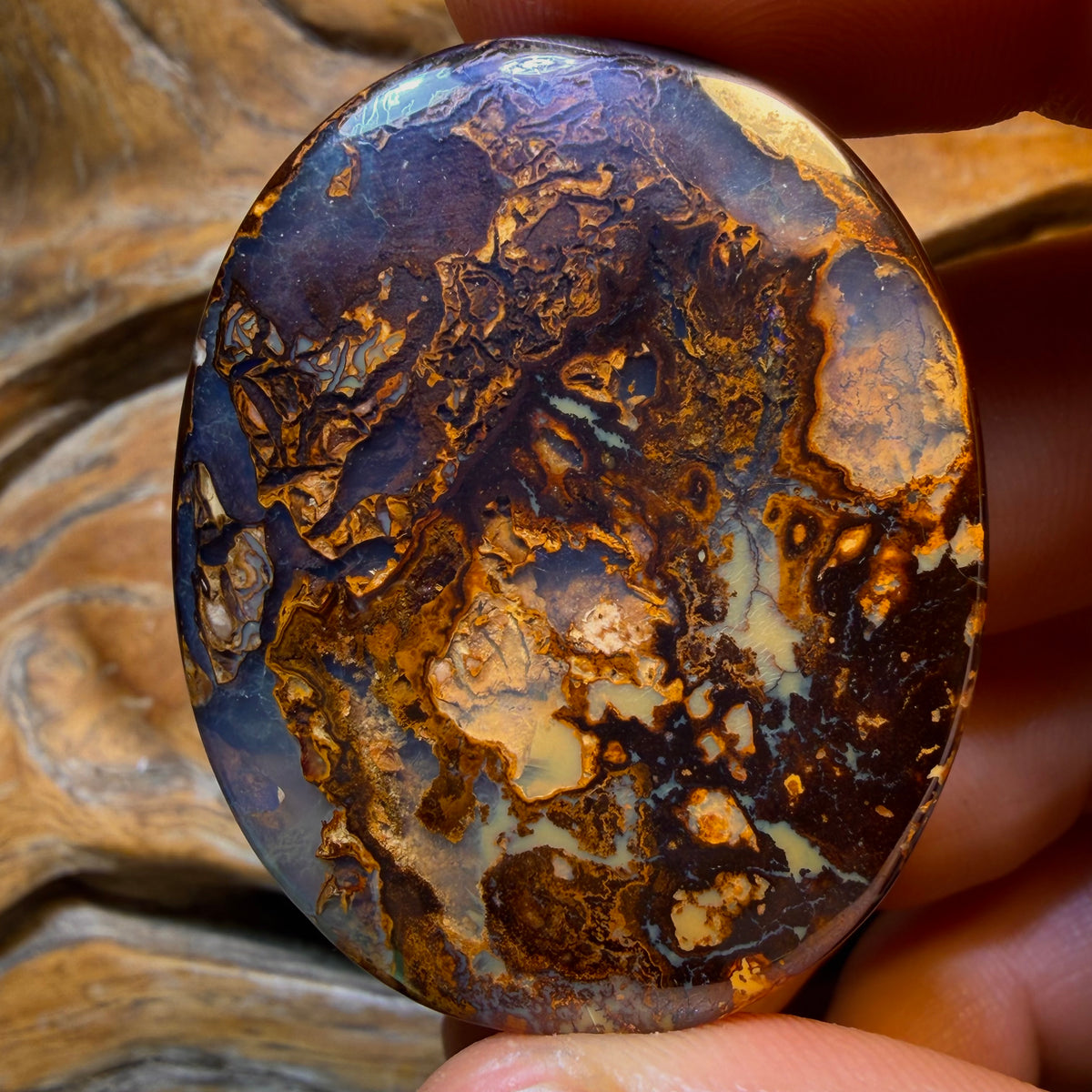 OpalFest WildCard! The Travelers Awesome Picture Stone 148.3cts - Tribal Yowah Nut Kernel Opal. Australian Opal