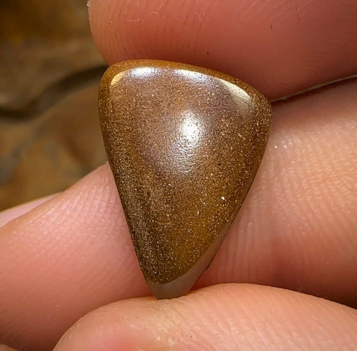 7.1cts - GEM Queensland Boulder Australian Opal - Opal Whisperers