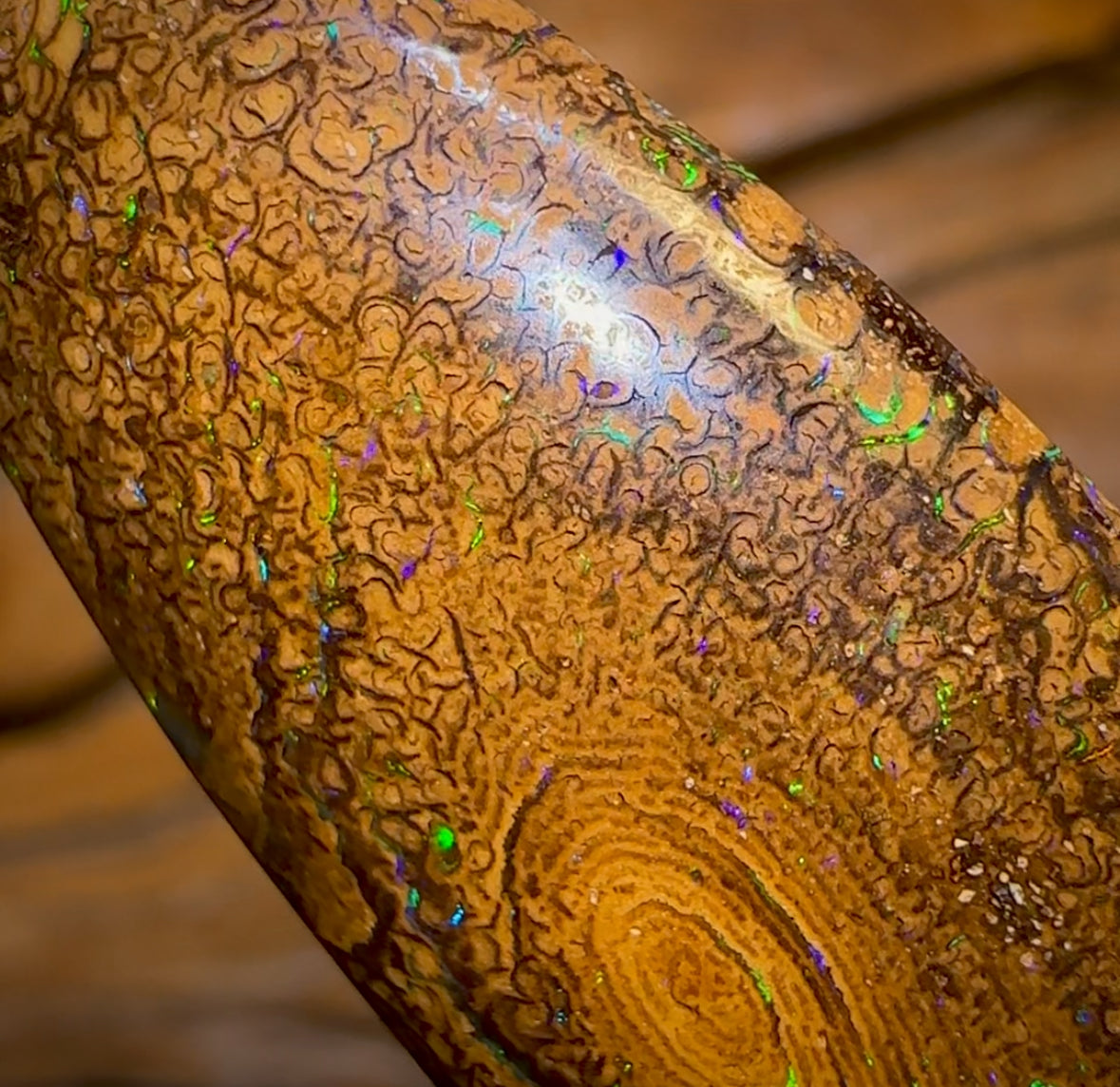 47.4cts - Tight Tan Tribal Queensland Boulder Opal from Yowah