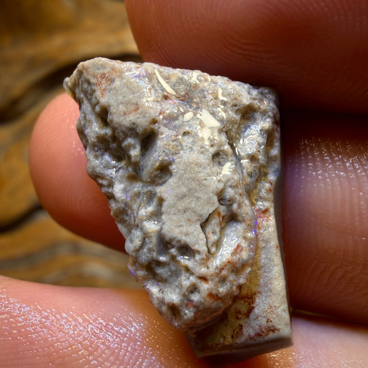 Bargain Card! 13.4cts - Lightning Ridge Dark Opal Rough Piece