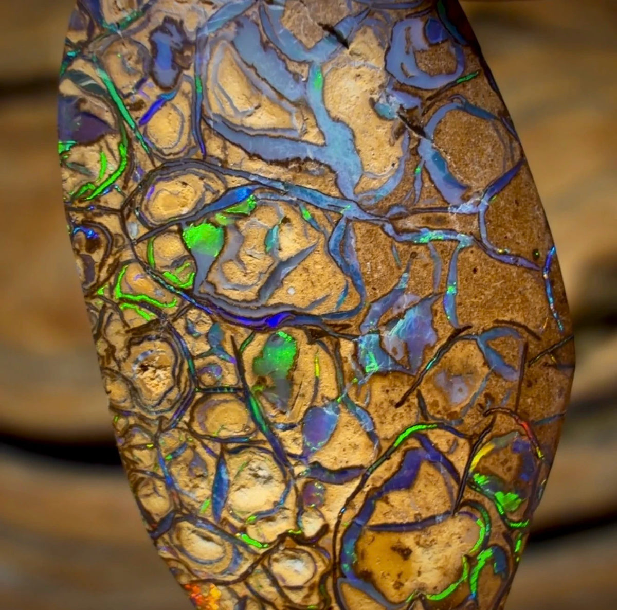 Wildcard! 13.3cts - Tan Tribal Australian Boulder Opal from Yowah