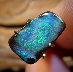 🔨 AUCTION 🔨 1.55cts - Queensland Boulder Seam Opal from Winton. Australian Opal