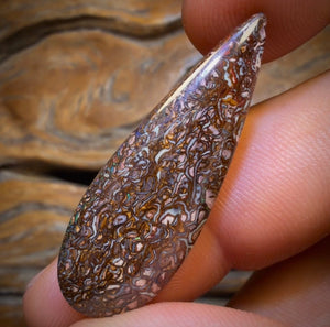 17.4cts - Tribal Yowah Nut Opal. Australian Opal