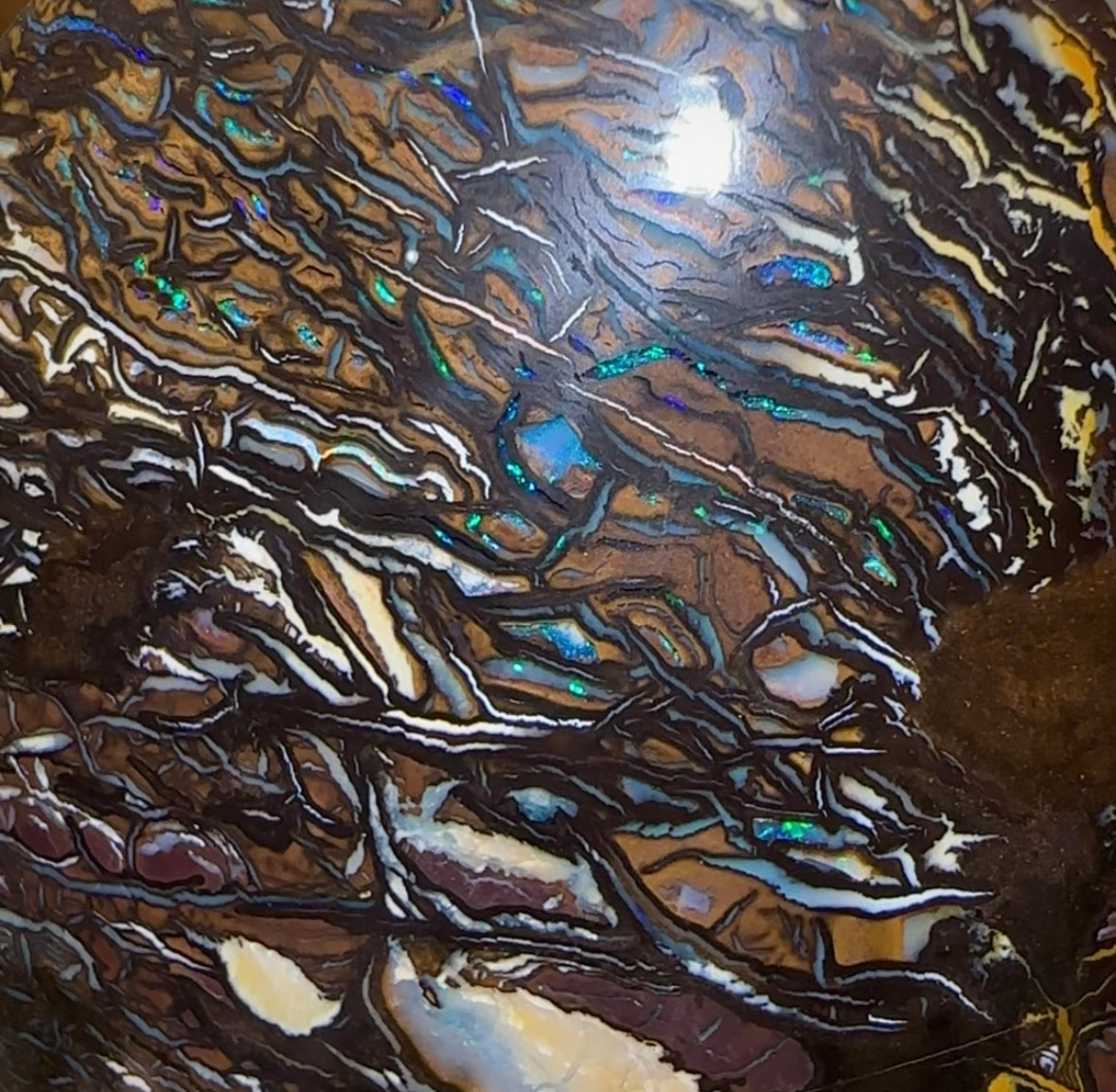 243.3cts - Top Tribal Art Australian Boulder Opal Specimen Polished - Opal Whisperers