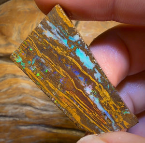 49.9cts - Queensland Boulder Opal Preform Rub