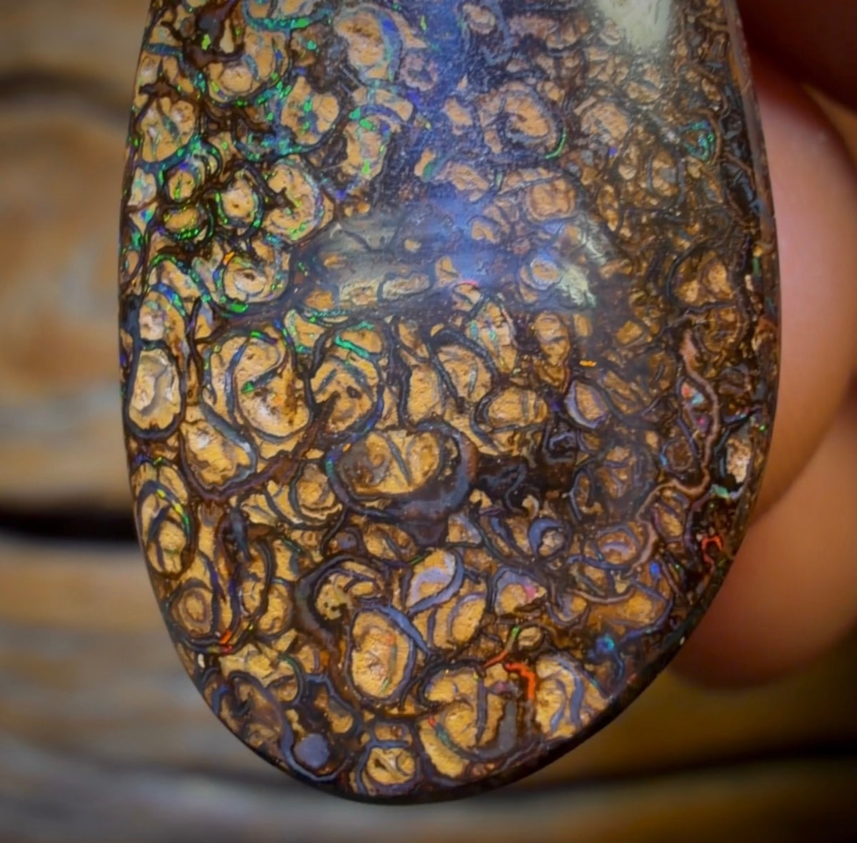 32 x 16mm - Drilled Tribal Queensland Boulder Opal Necklace