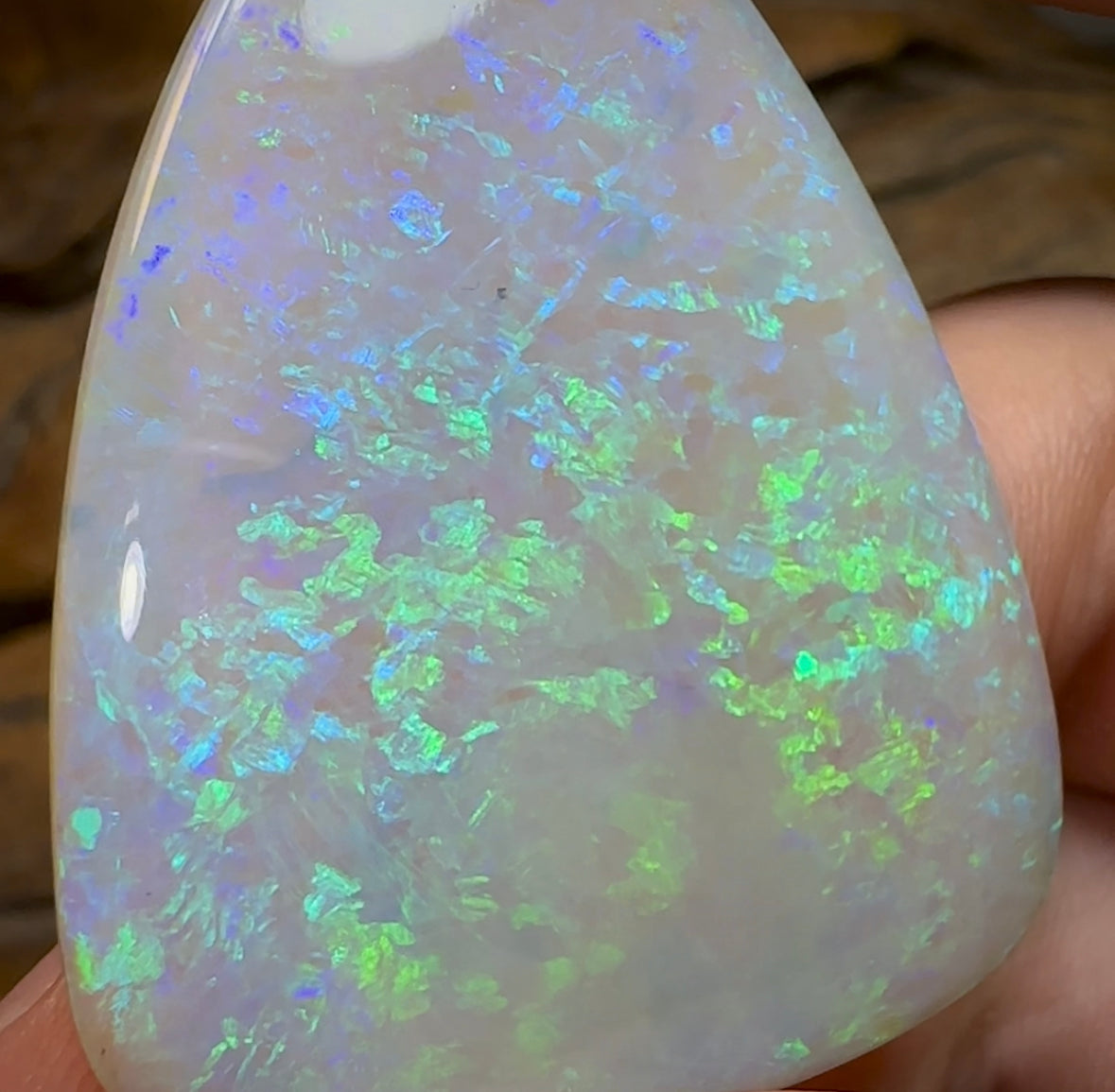 51.5cts - LARGE Heritage Collection South Australian  Crystal Opal - Opal Whisperers