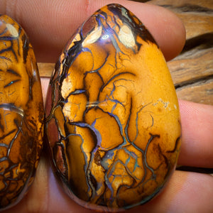 208.1cts - “Partners”Tribal Queensland Boulder Opal Pair