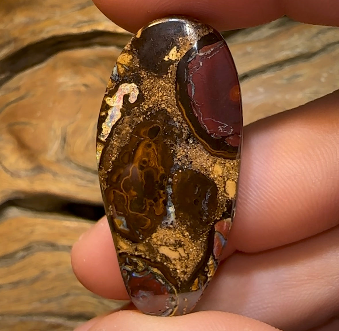 59.6cts - “Fruit cake” Koroit Nut Conglomeration Queensland Boulder Opal - Opal Whisperers