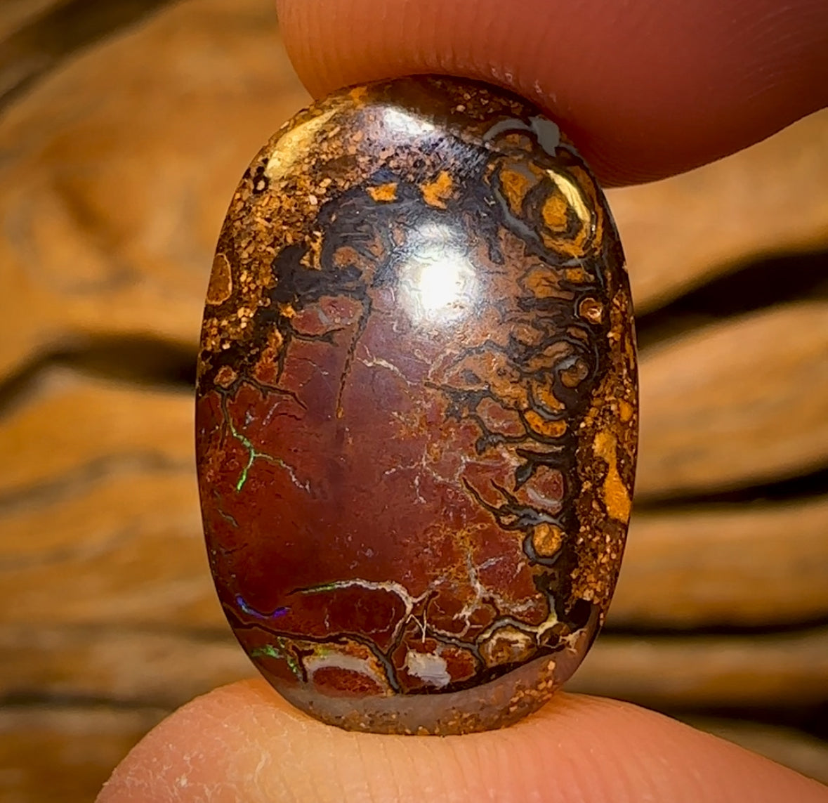 12.05cts - Tribal Queensland Boulder Opal from Yowah