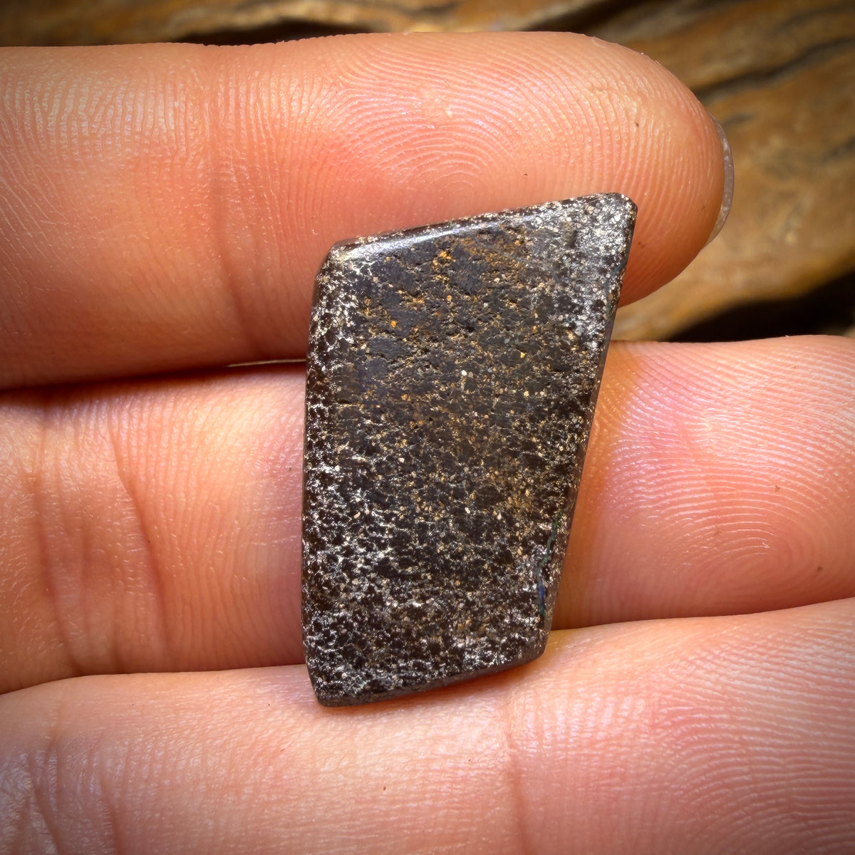 Banger Card! 21.1cts - Top Reef Pattern Queensland Boulder Seam Opal