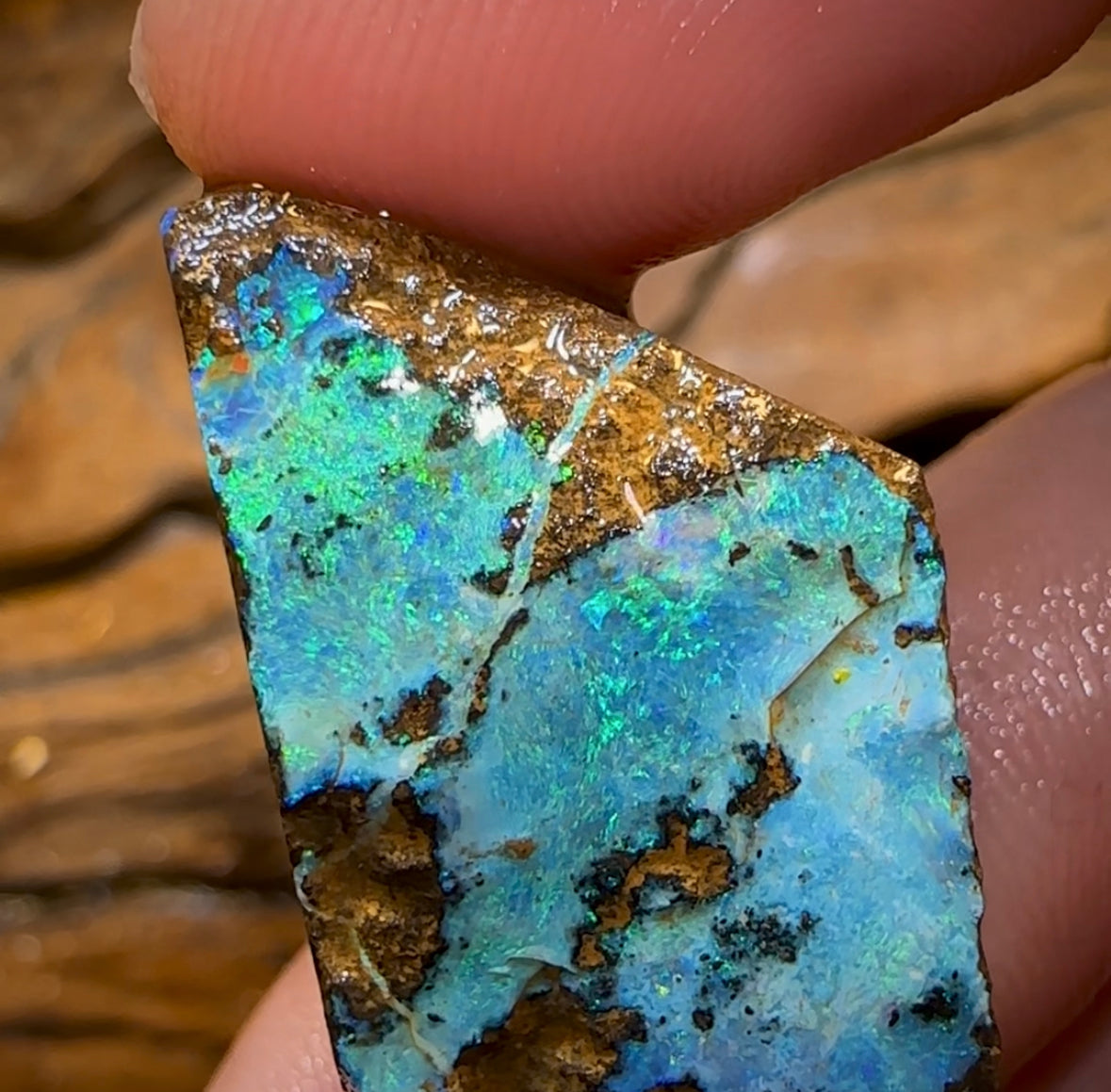 95cts - Australian Boulder Opal Rough Preform. Natural Split - Opal Whisperers
