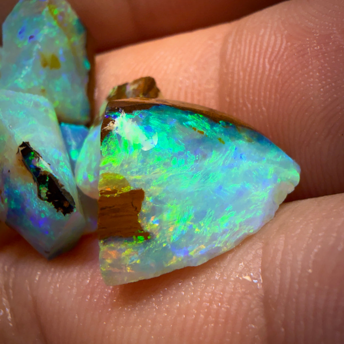 41cts - 10x Australian Yowah Wood Fossil Crystal Opal Rough Pieces. Highly Prized Material