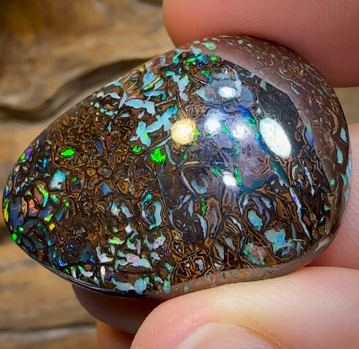 92.4cts - Tribal Koroit Nut Opal - Opal Whisperers