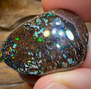 92.4cts - Tribal Koroit Nut Opal