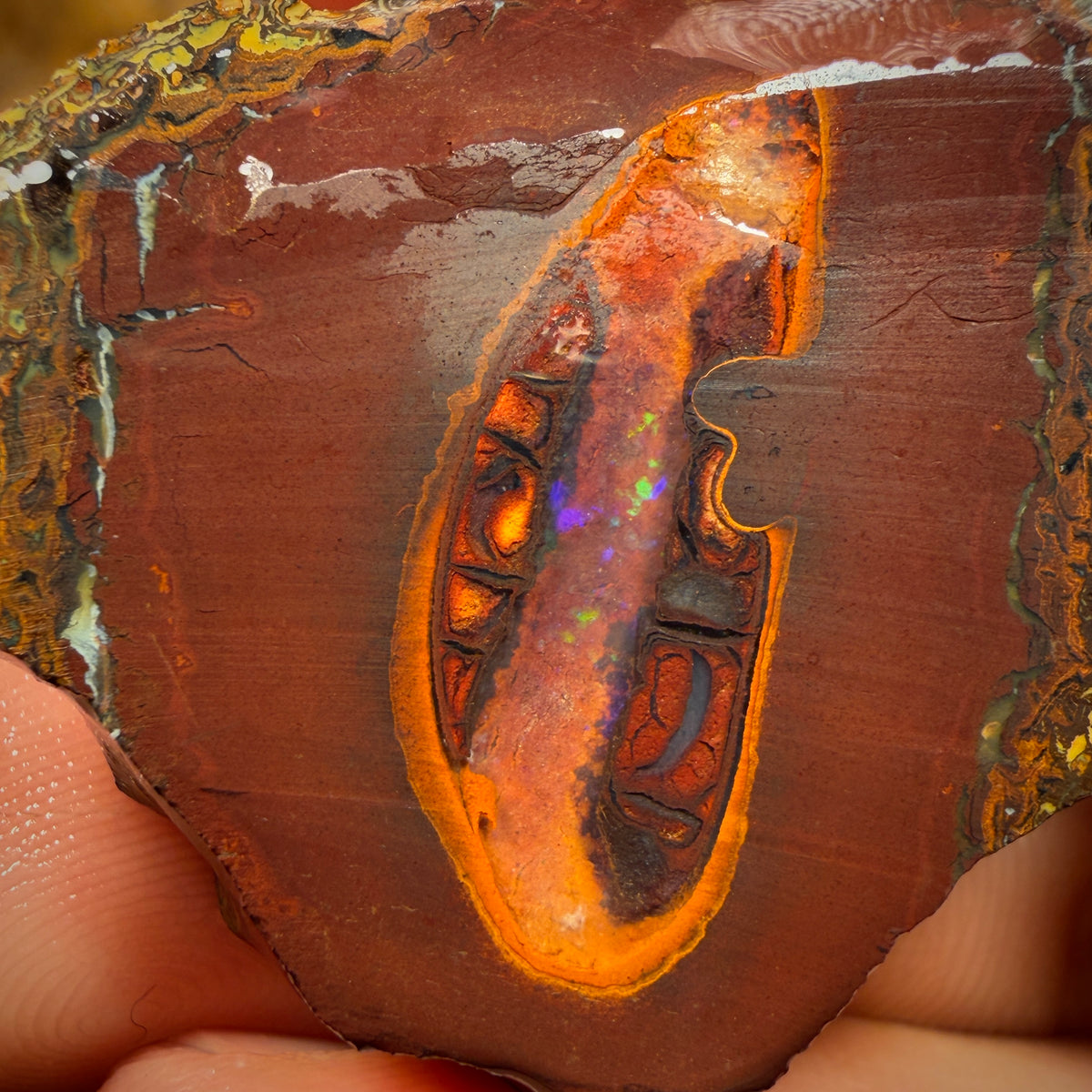 🔨 AUCTION 🔨 221.6cts - Yowah Nut Crystal Centre Rough Specimen Pair