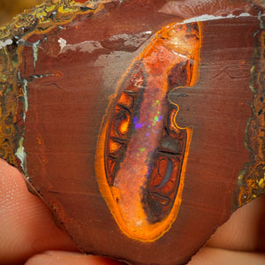 🔨 AUCTION 🔨 221.6cts - Yowah Nut Crystal Centre Rough Specimen Pair