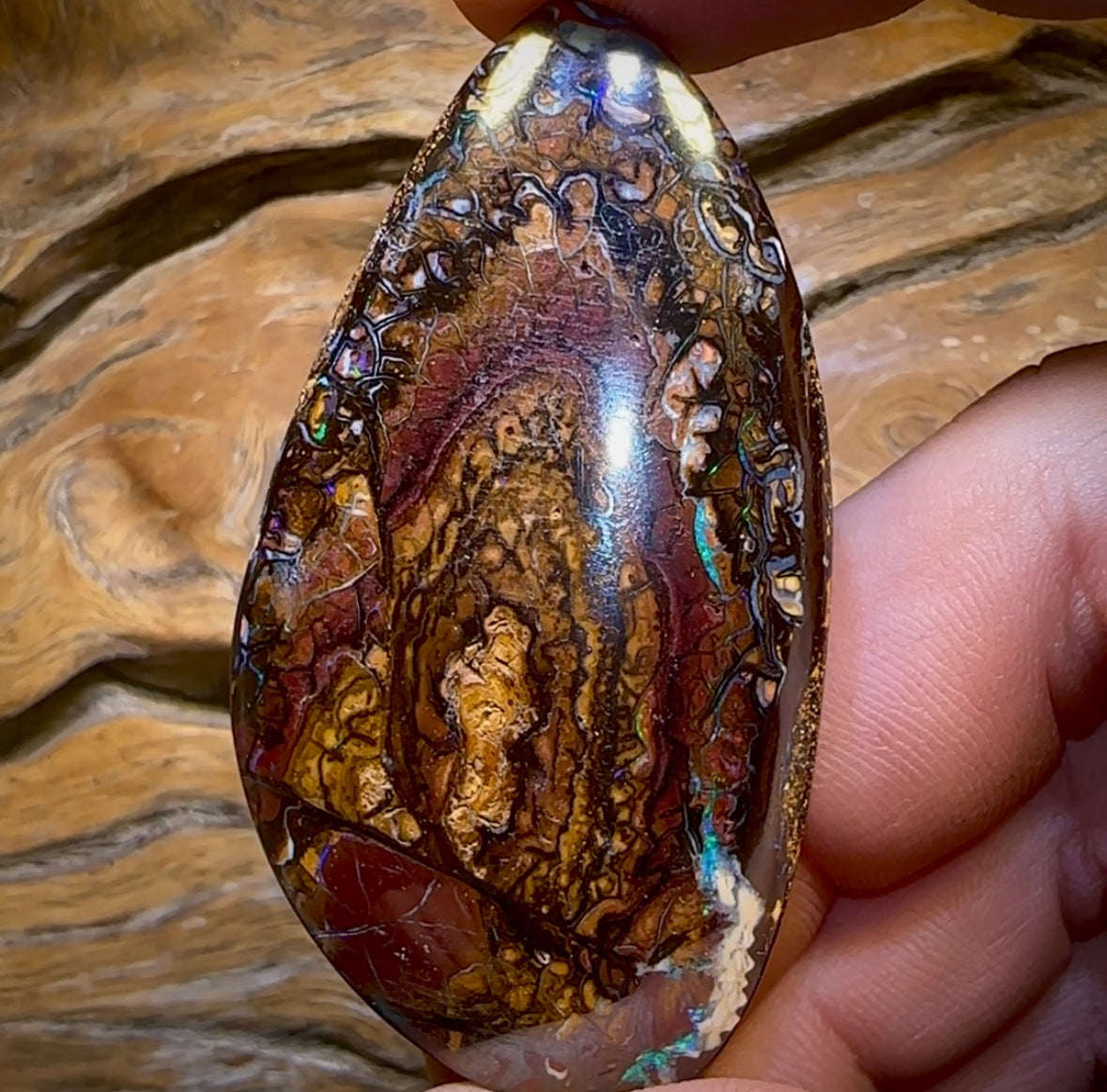 153.4cts - Large Tribal Queensland Boulder Opal from Koroit HALF PRICE