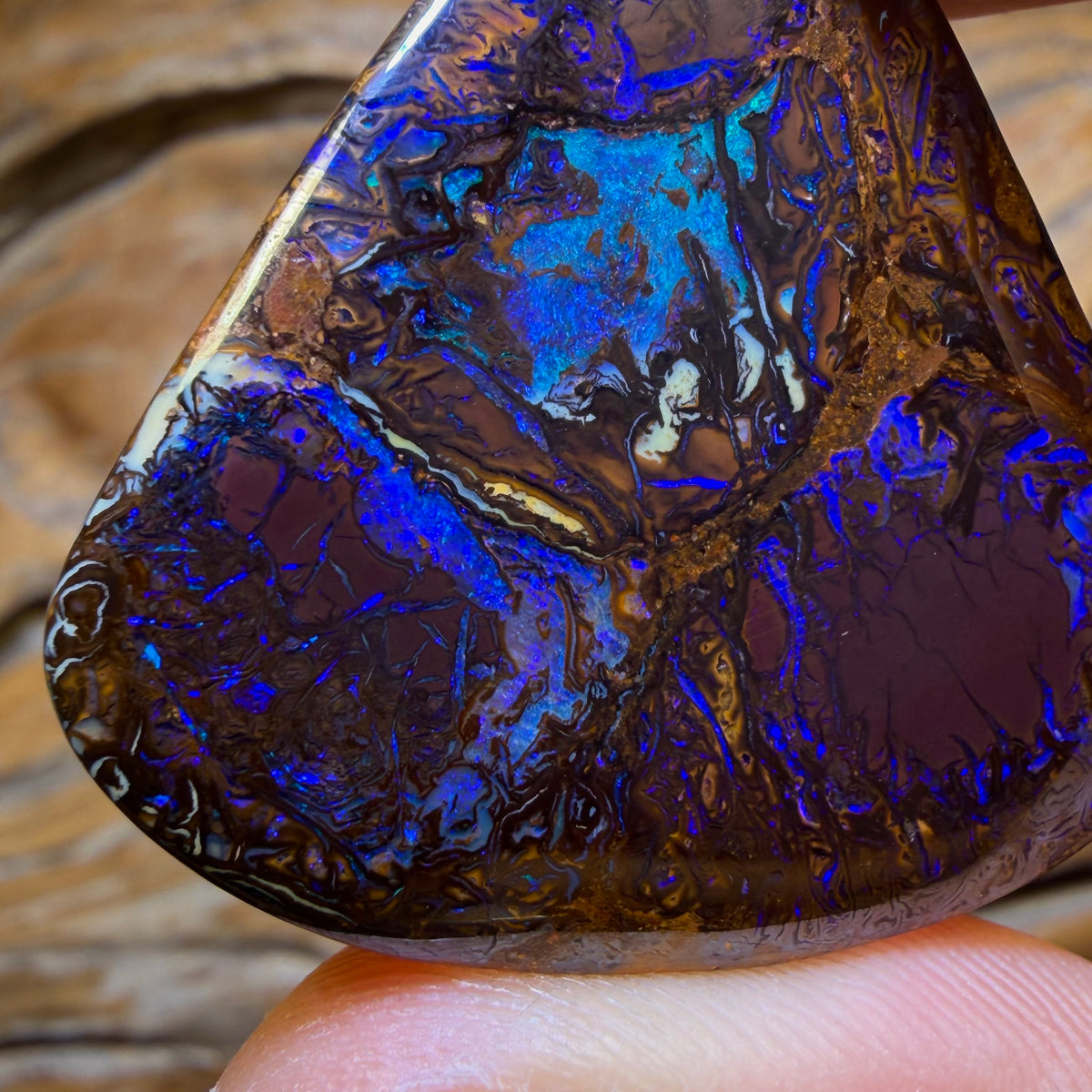 61.5cts - Tribal Queensland Boulder Opal from Yowah
