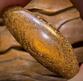 47,4 ct – Enger, hellbrauner Tribal-Boulder-Opal aus Queensland von Yowah