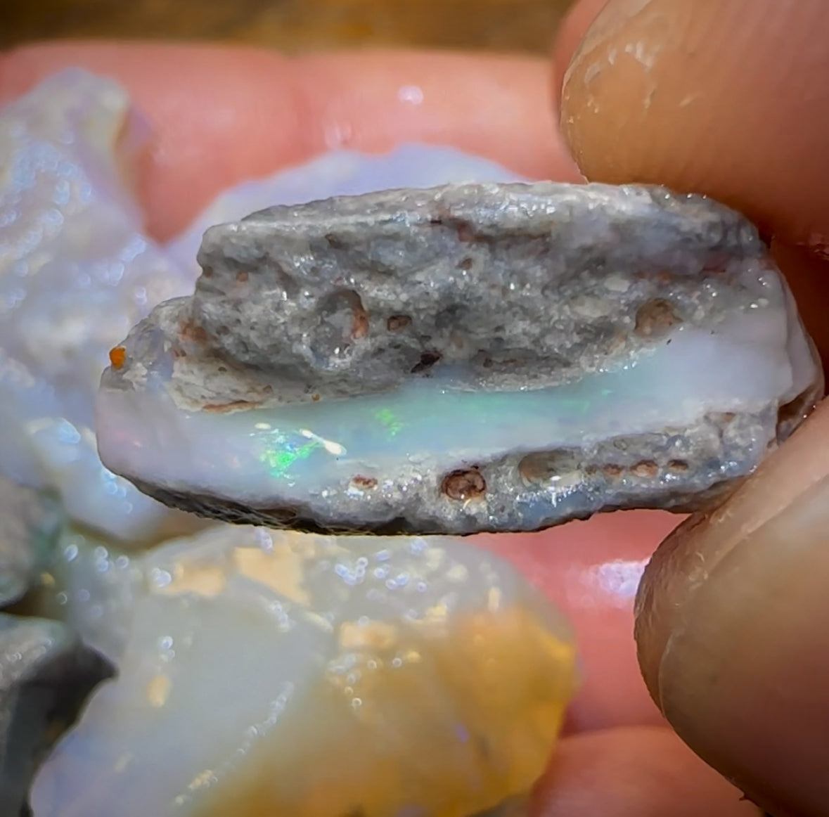 🔒201.2cts - 12x Lightning Ridge Opal Rough Parcel. Serious Cutters!