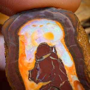 310.5cts - Yowah Nut Partial Crystal Centre Rough Specimen Pair