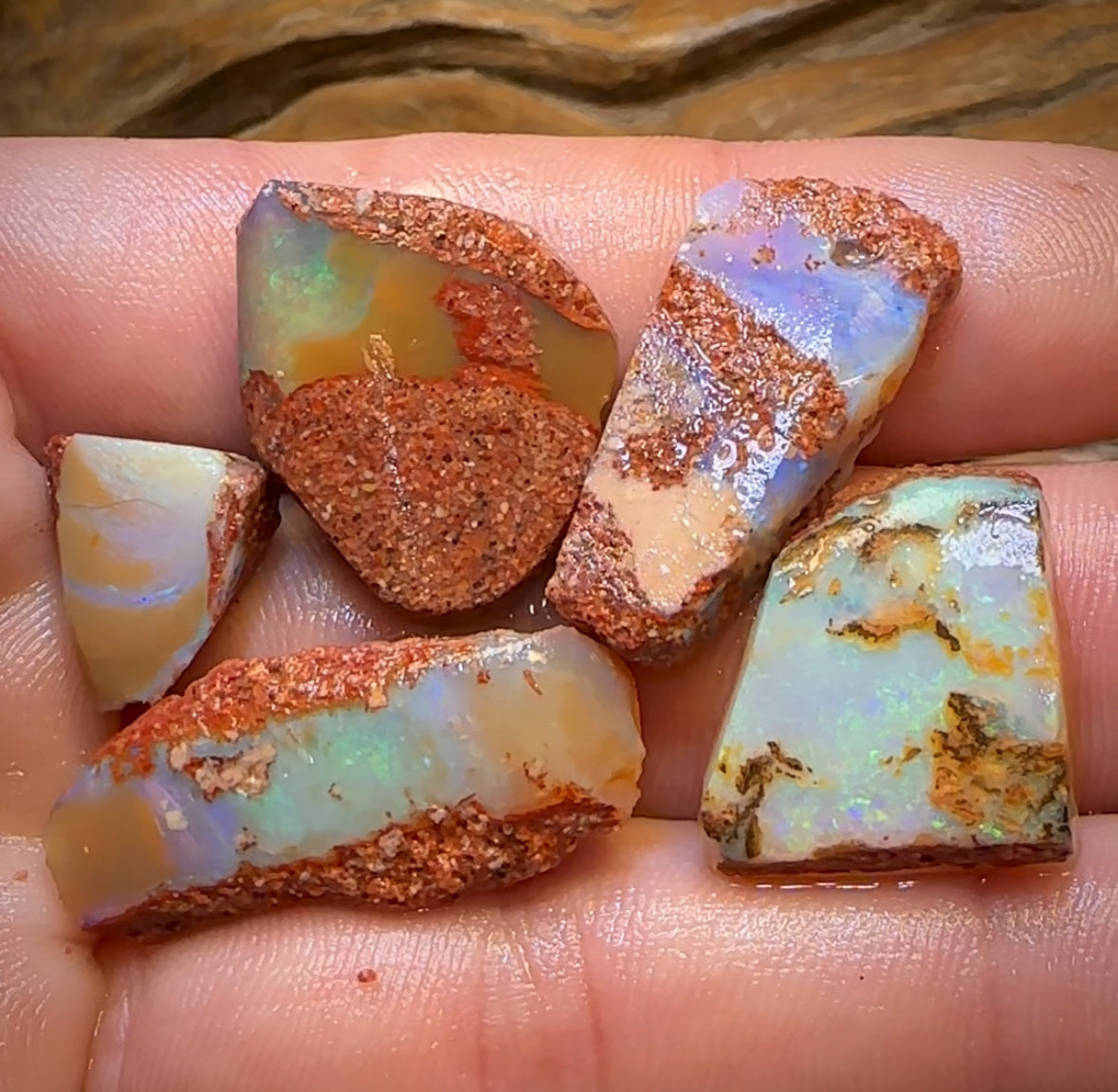 68.2cts - 5x Queensland Boulder Pipe Opal Rough Parcel