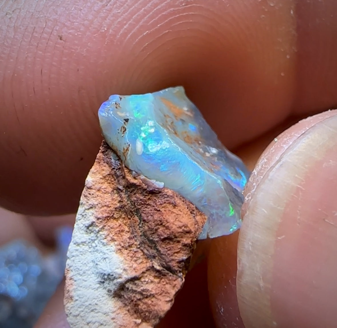 103.5cts - 29x Lightning Ridge Opal Rough Parcel
