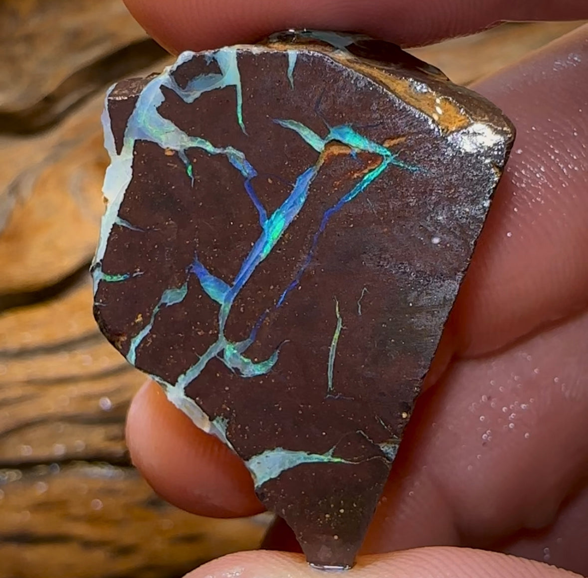 79cts - Australian Boulder Opal Rough Piece. Natural Split - Opal Whisperers