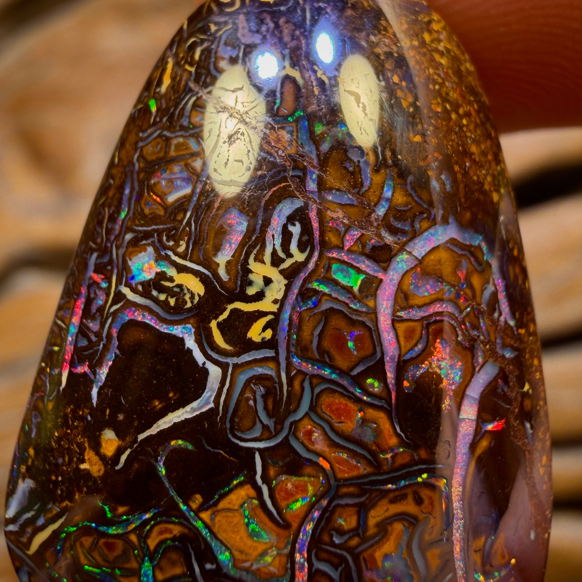 69.3cts - TopTribal Queensland Boulder Opal from Yowah Red Multi