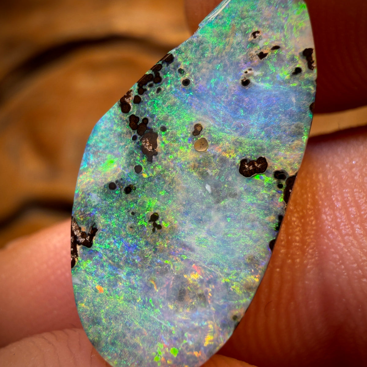 8.3cts - Queensland Boulder Seam Opal. Australian Opal Big Stone Bargain