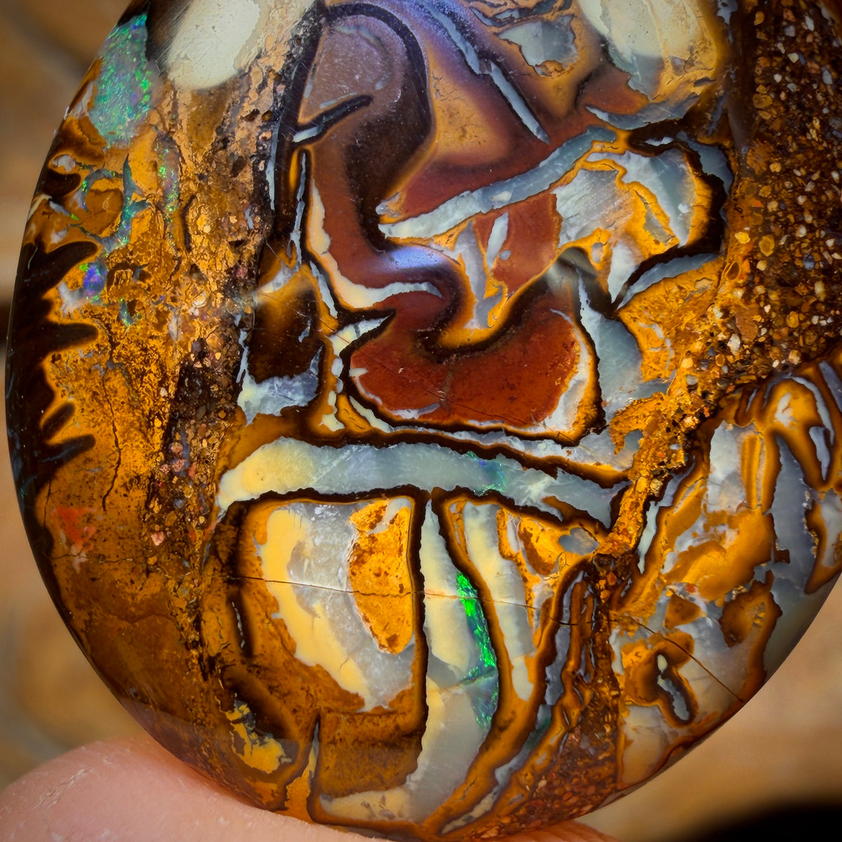 31.1cts - Tribal Queensland Boulder Opal from Yowah