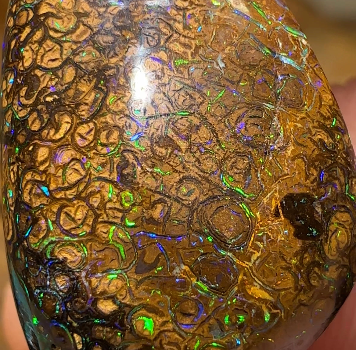 29.8cts - Yowah Boulder Opal. Australian Opal with Electric Tight Tan Tribal Pattern - Opal Whisperers