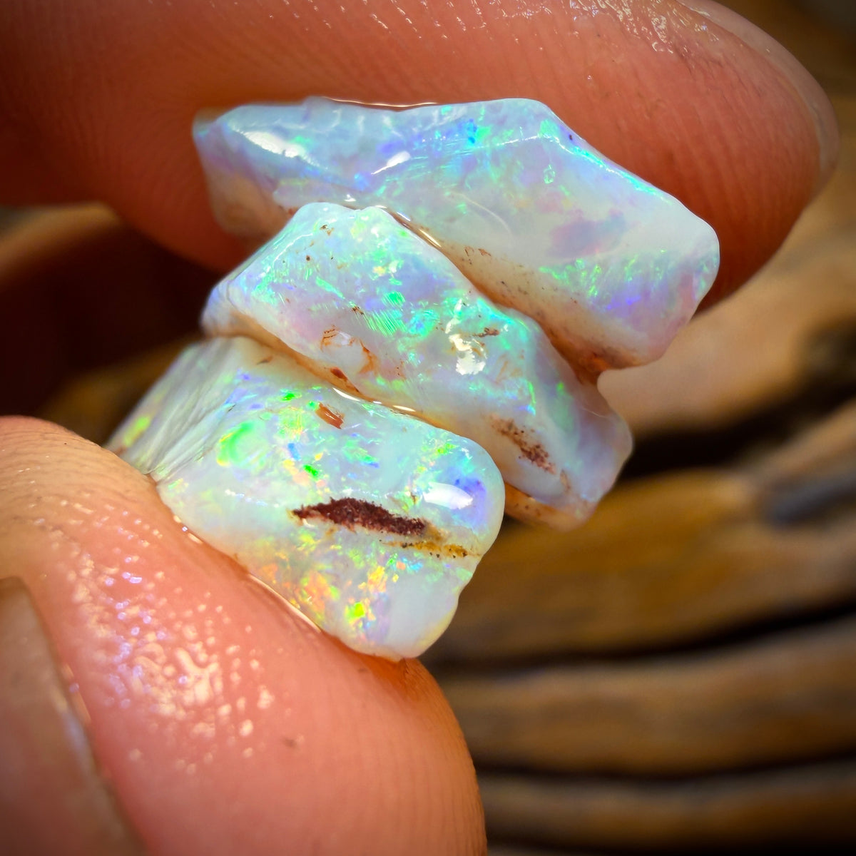 13.1cts - 3x South Australian Opal Rough Parcel