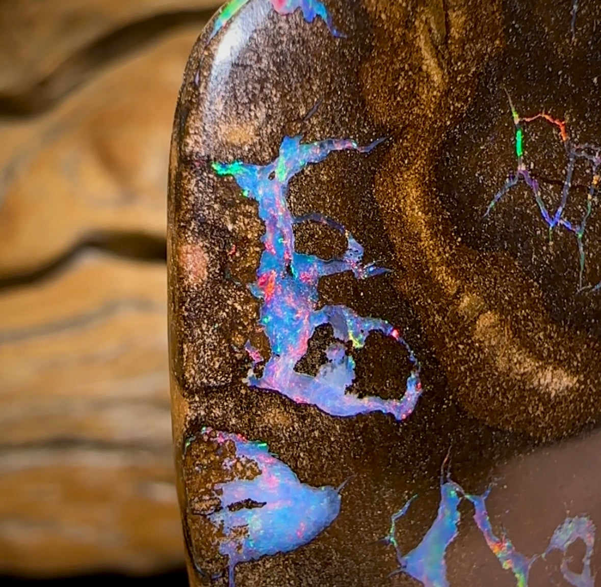 78cts - “Brolga Dance” Amazing Queensland Boulder Seam Opal Picture Stone